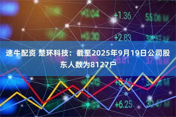 速牛配资 楚环科技：截至2025年9月19日公司股东人数为8127户