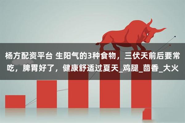 杨方配资平台 生阳气的3种食物，三伏天前后要常吃，脾胃好了，健康舒适过夏天_鸡腿_茴香_大火