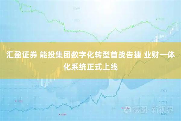汇盈证券 能投集团数字化转型首战告捷 业财一体化系统正式上线